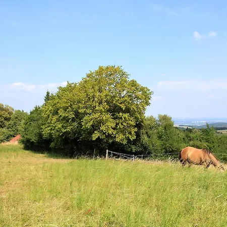 Im Sanierten Fachwerkhof Mit Terrasse Und Pool Nah An Dresden * Muglitztal